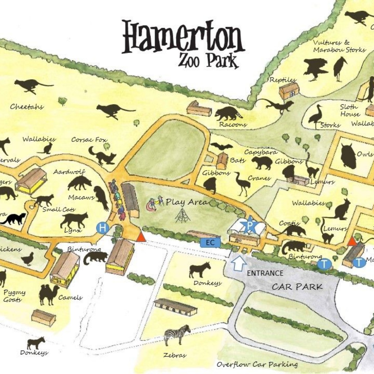 Spring Common Academy Exploring Wildlife at Hamerton Zoo